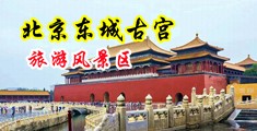 骚逼校花是我的性奴中国北京-东城古宫旅游风景区